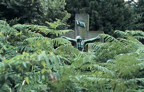 crucifix among ferns
