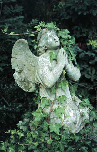 angel overgrown with ivy