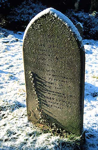 snow headstone & ivy