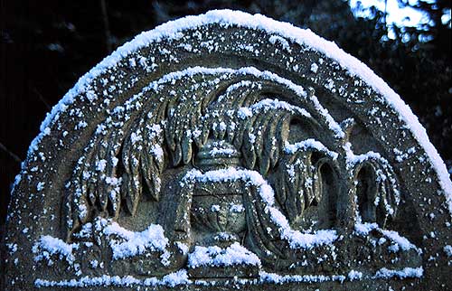 Weeping willow & urn in snow