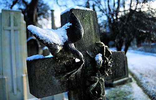 snow covered dove on cross