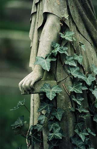 ivy growing on woman