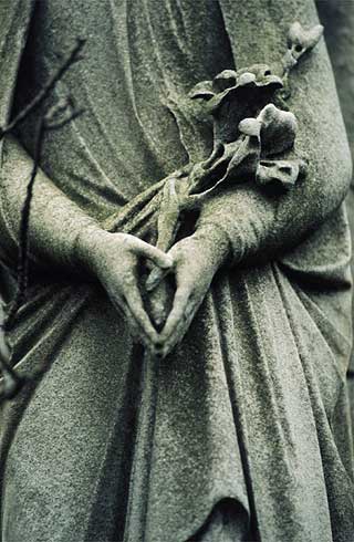 hands holding lilies