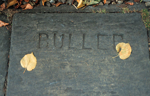 Buller
