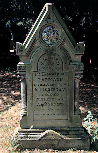 forget me not - Mary Ann