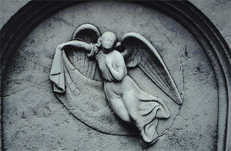 angel in flight