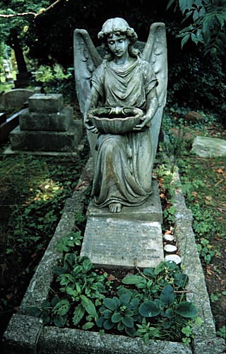 angel with bird bath