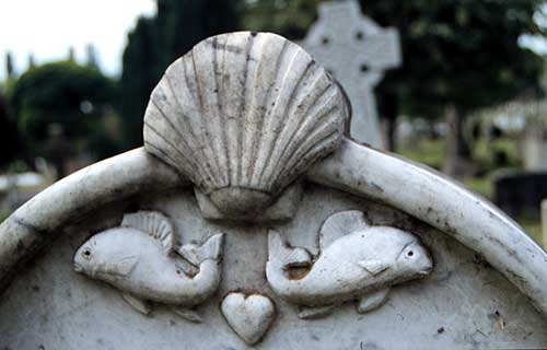 Roy Plumley, shell, fish & heart